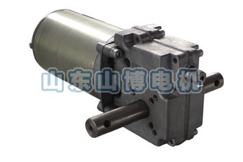 機車(chē)專(zhuān)用直流電機